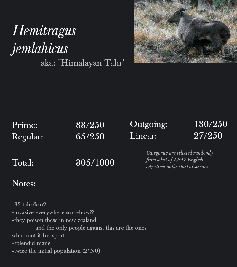 Hemitragus jemlahicus